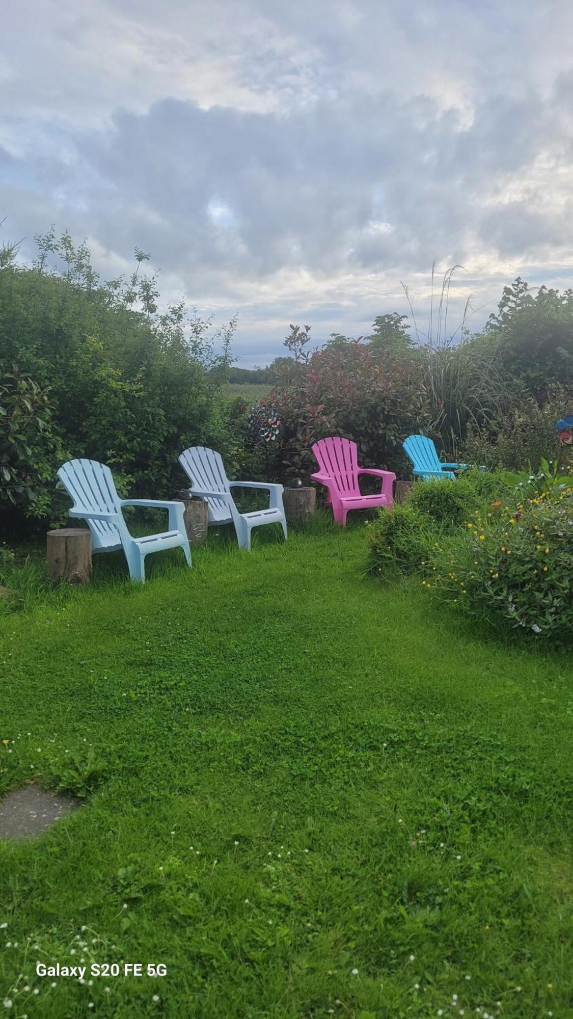 DromineerSalmon Island View公寓 外观 照片